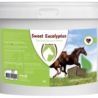 Sweet Eucalypta Blocks