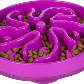 Voerbak Fun Feeder Mini Coral Orange
