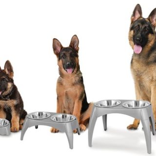 Groeivoerbak hond