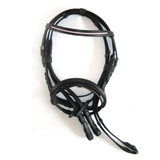 HB Hoofdstel Bridle roze of paars