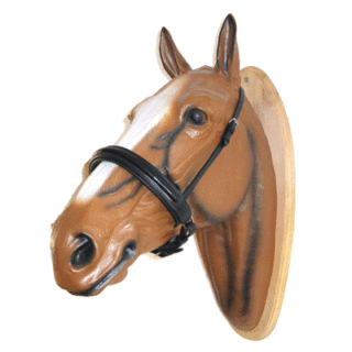 HB Luxe brede aansnoer neusriem