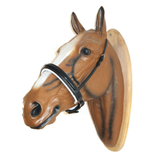 HB Luxe brede aansnoer neusriem