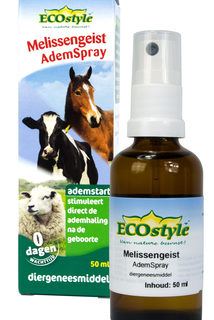 Melissengeist AdemSpray