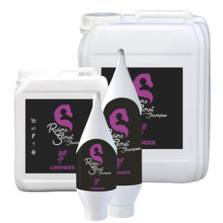 Riders Secret Shampoo