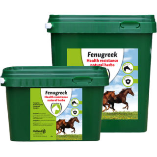 Fenugreek (Fenegriek)
