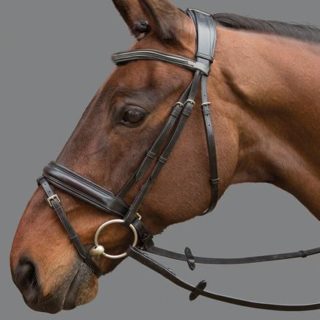Hoofstel Argus Bridle