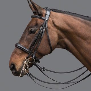 Hoofdstel Akropolis Dbl Bridle