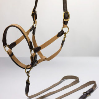 Web Stable Halter