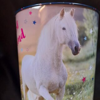 PRULLENBAK PAARDENVRIEND