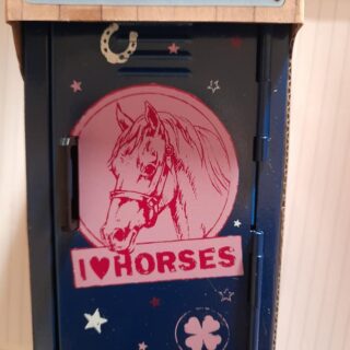SCHATKISTJE PAARDENVRIEND