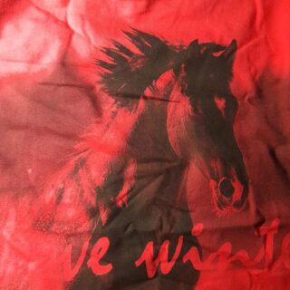 SHIRT LONG SLEEVED FAME